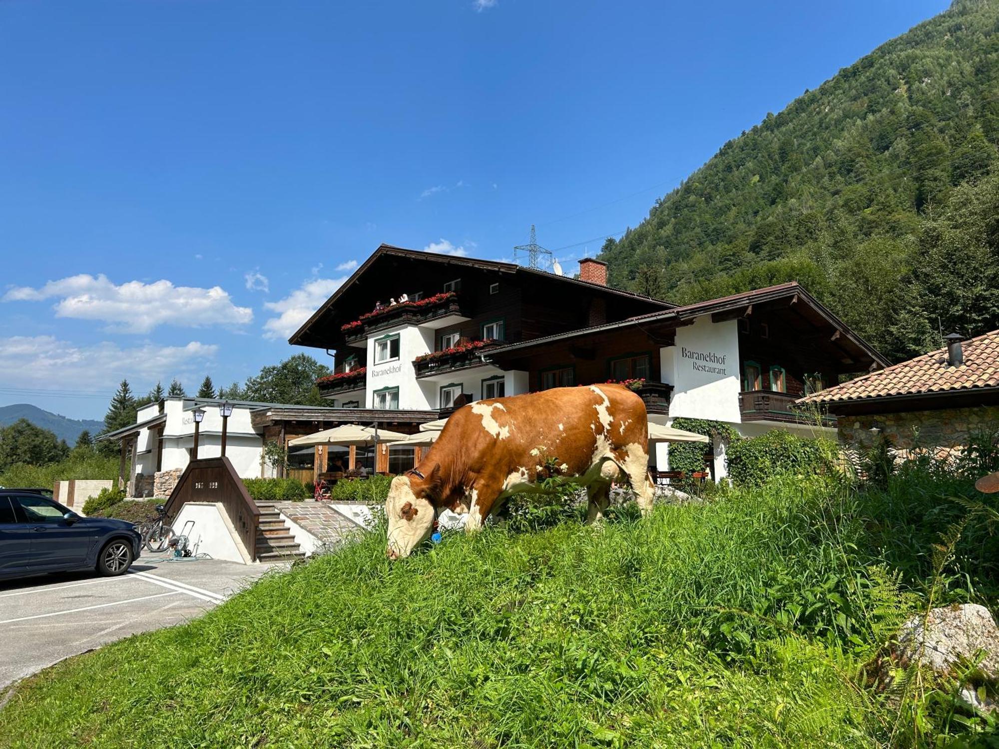 Pension Baranekhof - Accommodation In Nature - Baranek Resorts Kaprun Esterno foto